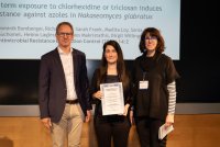 METEKA Preis 2026 2